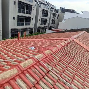 WhatsApp Image 2026-03-04 at 10.57.22 (1)